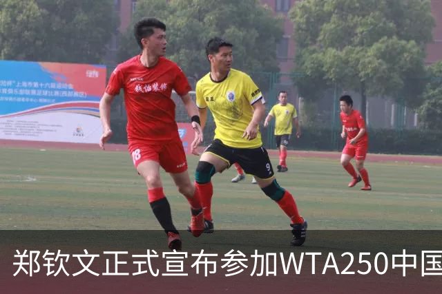 郑钦文正式宣布参加WTA250中国香港站 2026赛季落幕之战